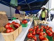 Người dân mua sắm tại một chợ ở Ontario, Canada ngày 20/7/2022. (Ảnh: THX/TTXVN).