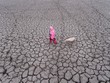 Ảnh: Earth.org
