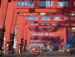 Cảng hàng hóa tại Ninh Ba, tỉnh Chiết Giang, Trung Quốc. (Ảnh: THX/TTXVN)