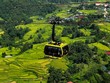 Khung cảnh mùa lúa chín ngoạn mục ở thung lũng Mường Hoa.
