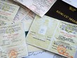 Thanh Hóa khai trừ khỏi Đảng Bí thư Đảng ủy phường dùng bằng giả