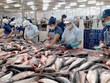 Trong kết luận cuối cùng đợt rà soát hành chính, Mỹ giữ nguyên mức thuế chống bán phá giá cá tra, basa Link Vào Nhà Cái KL99 COM Tặng +199k từ Việt Nam.