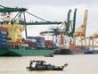 Phần lớn đội tàu trong nước được cho thuê tại thị trường ngoài.