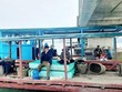 Các hộ dân có bè nuôi vi phạm bị cưỡng chế. (Ảnh: Thanh Vân/TTXVN)