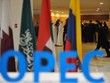 OPEC cắt giảm nhu cầu dầu năm 2022, 2023 do nền Kl992 cổng game cá cược chậm lại