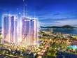 Quy Nhơn thiếu căn hộ chuẩn 5 sao 
