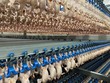 Xuất khẩu hàng hóa sang Nhật 9 tháng đạt 17,8 tỷ USD, tăng 21,6%, xuất siêu 10 triệu USD.
