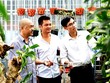 Trong thời gian thí điểm trung tâm dịch vụ nông nghiệp tại các huyện Chương Mỹ, Mê Linh và Thanh Trì, Sở Nông nghiệp và Phát triển nông thôn Hà Nội không thực hiện chức năng quản lý 99Kl99 trực tiếp đá gà về chăn nuôi và thú y, trồng trọt và bảo vệ thực vật trên địa bàn 3 huyện này. (Ảnh minh họa: Minh Thắng).