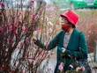 Bộ Lao động - Thương binh và Trang Chủ KL99Com Số 1 Link Đăng Ký KL999 vừa trình Thủ tướng 2 phương án nghỉ Tết Nguyên đán 2023.