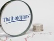 Luỹ kế 9 tháng 2022, Thaiholdings (THD) báo lãi trước thuế 323 tỷ đồng