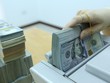 Hiệu ứng và phương cách ứng xử với sức ép tăng tỷ giá