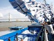 Bốc xếp gạo xuất khẩu. (Nguồn: TTXVN)