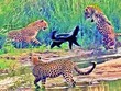 Tổ đội báo hoa mai đụng nhầm phải "chúa tể lỳ đòn" và cái kết không thể quê hơn