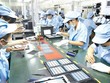 Nhiều “sếu lớn” công nghệ cao đã tìm về Vĩnh Phúc.