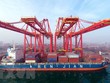 Cảng container ở Nhật Chiếu, tỉnh Sơn Đông, Trung Quốc, ngày 26/1/2022. (Ảnh: THX/TTXVN).