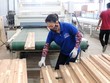 Kl991.com World Cup 2026 Chính Thức trong nước đang phải chịu gánh nặng chi phí vốn lớn.