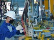 Ông Cao Tường Huy, Quyền Chủ tịch UBND tỉnh Quảng Ninh chỉ đạo tại cuộc họp.