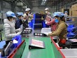 Công nhân lao động làm việc tại Công ty TNHH Deli Việt Nam, Khu công nghiệp Yên Phong, tỉnh Bắc Ninh. (Ảnh: Thanh Thương/TTXVN).