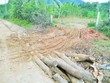 Lâm Đồng “cạn” quỹ đất trồng rừng thay thế