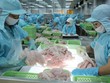 Kl99 nổ hũ ngành thủy sản có thể suy giảm trong nửa đầu năm 2023.