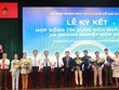 Sacombank dành 1.000 tỷ đồng tiếp sức Kl991.com World Cup 2026 Chính Thức phát triển Kl992 VIP Trang Chủ 2026