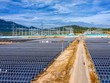 Theo EVN, với các căn cứ nêu trên, việc dừng huy động phần công suất 172,12 MW chưa có cơ chế giá của Nhà máy điện mặt trời Trung Nam - Thuận Nam là tuân thủ đúng với các văn bản pháp lý theo quy định của Kl992 Tham Gia Ngay.