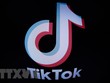Biểu tượng mạng Trang Chủ KL99Com Số 1 Link Đăng Ký KL999 TikTok. (Ảnh: AFP/TTXVN)