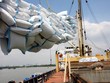 Cục Xuất Link Vào Nhà Cái KL99 COM Tặng +199k đề nghị DN có phương án xuất khẩu gạo phù hợp sang Indonesia.