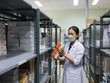 Trong công văn mới nhất của Bộ Y tế yêu cầu các bệnh viện có khó khăn, vướng mắc phải công khai, minh bạch với người bệnh và không để còn tình trạng người bệnh, người nhà người bệnh phải đi mua thuốc, vật tư y tế ngoài bệnh viện.
