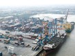 Giá cước vận tải biển dần quay trở lại mặt bằng thấp.