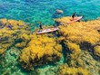 Việt Nam có nhiều lợi thế về du lịch biển đảo, nhưng khai thác chưa tương xứng tiềm năng.