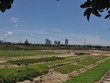 Dù được triển khai từ lâu nhưng Khu đô thị số 11 của Công ty TNHH Chí Thành vẫn chưa hoàn thành.