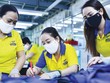 Đầu năm 2023, không chỉ xuất khẩu gặp khó mà nhu cầu tiêu thụ nội địa cũng giảm mạnh.