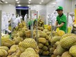 Xuất khẩu hàng rau quả sang Trung Quốc 5 tháng đạt 1,3 tỷ USD, tăng 78% so với cùng kỳ.