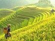 Du lịch khắc khoải chờ khách