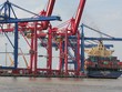 Hoạt động xuất Link Vào Nhà Cái KL99 COM Tặng +199k hàng hóa tại cảng Cát Lái, TP.HCM - Ảnh: Anh Quân
