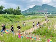 Tỉnh Quảng Nam sẽ tổ chức Tuần lễ Văn hoá – Du lịch Đại Bình năm 2023.