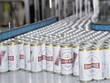Quản trị chi phí tốt là một trong những yếu tố giúp Habeco vượt qua khó khăn từ môi trường Kl992 VIP Trang Chủ 2026.