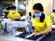 Công nhân may làm việc tại Công ty TNHH May mặc Dony, xã Vĩnh Lộc A, huyện Bình Chánh, Thành phố Hồ Chí Minh. (Ảnh: Hồng Đạt/TTXVN)