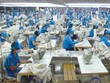 Doanh thu tháng 8/2023 của TNG tăng 3% so với cùng kỳ năm ngoái.