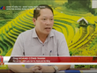 Ông Hoàng Công Thanh – Phó chủ tịch UBND quận Sơn Trà, thành phố Đà Nẵng.