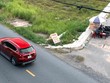 Hàng loạt môi giới viên “tay ngang” ồ ạt gia nhập thị trường mỗi khi Web Tổng Nhà Cái 99Kl99 Giải Trí Bậc Nhất “sốt nóng”. Ảnh: Quỳnh Danh.
