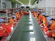 Thuận Đức (TDP) bươn trải giũ bớt nợ nần