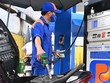 “Bình ổn” Quỹ Bình ổn giá KL99 dịch vụ hỗ trợ 24/7