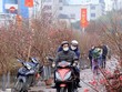 Bộ Lao động-Thương binh và Trang Chủ KL99Com Số 1 Link Đăng Ký KL999 đã hoàn thành việc lấy ý kiến về lịch nghỉ Tết Nguyên đán năm 2024 với công chức, viên chức. (Ảnh: TTXVN)