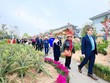 Khai mạc đường hoa xuân lớn nhất phía Tây Hà Nội - Home Hanoi Xuan 2024 tại Mailand Hanoi City