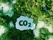 Cơ hội rộng mở để Kl99ok phiên bản mới thị trường carbon tại Việt Nam