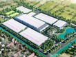 Quý III/2024, Kl99 nổ hũ sau thuế May Sông Hồng (MSH) tăng 154% so với cùng kỳ