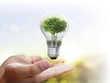 Tản mạn tiết kiệm năng lượng