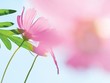 Kiếm tiền từ không khí